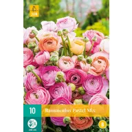 Bulbi de flori Boglárka (Ranunculus) Mix Pastel 10 buc JUB