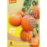Tomate organice Auriga Pure Seed aproximativ 30 semințe