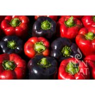Paprika bio Violeta Rein Saat aprox 35 semințe