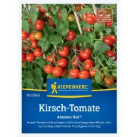 Roșii Cherry Ampelo Rot F1 Kiepenkerl 12 semințe