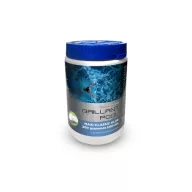   Brillant Pool Maxi-Classic comprimate de clor solubile 200 g/db 1 kg