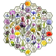   Wildflower floare nativă maghiară amestec de semințe Zümmögde 50g