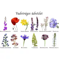   Florile mele sălbatice sămânță autohtonă maghiară de flori sălbatice carte poștală cu salutări 1 g