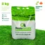 MasterGreen Balanced îngrășământ pentru gazon (18-5-18+2MgO) 5 kg