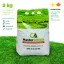 MasterGreen High K îngrășământ pentru gazon (15-5-24+S+TE) 5 kg