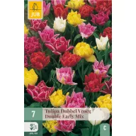 Bulb Tulip Dubbel Vroeg/Dubble Early Mix 7 buc JUB