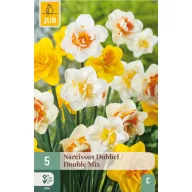 Bulb Narcisă Dubbel/Double Mix 5 bucăți JUB