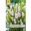 Bulbi de Muscari Gyöngyike (Muscari) Pink Sunrise 3 buc JUB