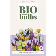 Bulbi de flori BIO Crocus (Crocus sp.) Mix 15 buc JUB