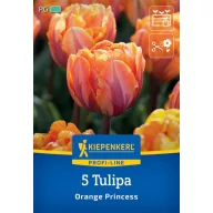 Floare Bulb Lalea Orange Princess 5 buc Kiepenkerl