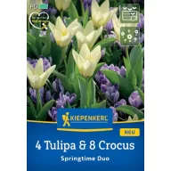   Amestec de bulbi de flori 4 lalele & 8 crocus Duo de primăvară Kiepenkerl 12 buc