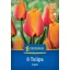 Bulb de flori Lalea Cash Kiepenkerl 8 buc