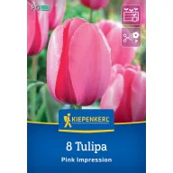 Bulb de flori Lalea Roz Impression Kiepenkerl 8 buc