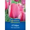 Bulb de flori Lalea Roz Impression Kiepenkerl 8 buc
