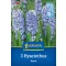 Bulbi de flori Jasmine Aqua Kiepenkerl 3 buc