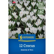   Bulbi de flori nucă de cocos Jeanne d'Arc Kiepenkerl 12 bucăți