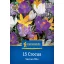 Bulb de flori Crocus Vernus Mix Kiepenkerl 15 buc