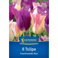 Bulb de flori Lalele Coutryside Duo Kiepenkerl 8 buc