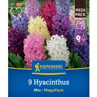 Bulb de flori Hyacinth Mix Megapack Kiepenkerl 9 buc