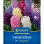Bulb de flori Hyacinth Mix Megapack Kiepenkerl 9 buc