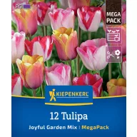 Bulb Lalea Joyful Garden Mix Megapack Kiepenkerl 12 buc