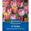 Bulb Lalea Joyful Garden Mix Megapack Kiepenkerl 12 buc