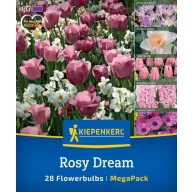 Mix de bulbi de flori Rosy Dream Mix Kiepenkerl 28 buc
