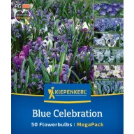   Mix de bulbi de flori Sărbătoare albastră Kiepenkerl 50 buc