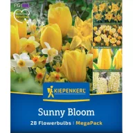   Amestec bulbi de flori (Lalea-Narcis-Crocus-Zambile) Sunny Bloom Kiepenkerl 28 buc