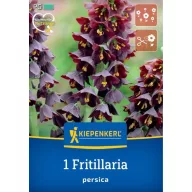   Bulb de floare Coroana imperială persană (Fritillaria persica) Kiepenkerl 1 buc.