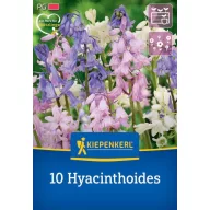   Bulbi de flori Mix clopoței spanioli (Hyacintoides) Kiepenkerl 10 buc