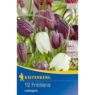   Bulbi de flori lalea pestriță mix (Fritillaria mix) Kiepnkerl 15 buc.