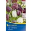 Bulbi de flori lalea pestriță mix (Fritillaria mix) Kiepnkerl 15 buc.