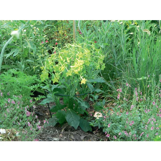 Suport semicircular pentru plante CHELSEA 45x100cm