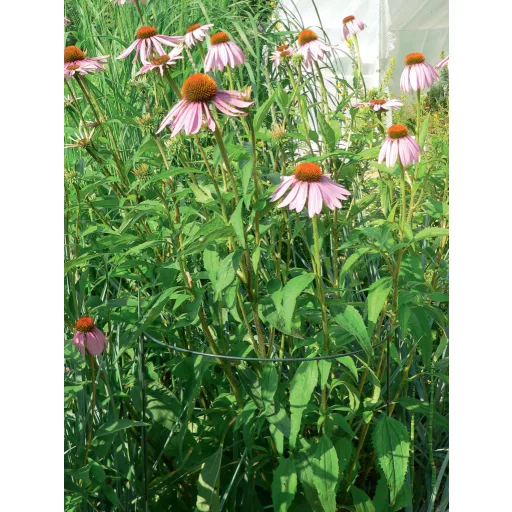 Suport semicircular pentru plante CHELSEA 45x100cm