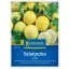 Castravete-lămâie Lemon Kiepenkerl cca. 15 semințe