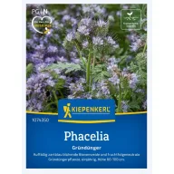   Caprifoi (Phacelia tan.) - îngrășământ verde și apicultor pentru 25 m2 Kiepenkerl