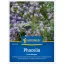 Caprifoi (Phacelia tan.) - îngrășământ verde și apicultor pentru 25 m2 Kiepenkerl