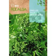 Rapini Cima Di Rapa (90 zile) Rocalba 10 g