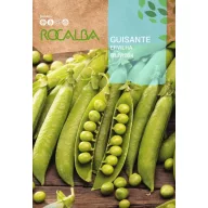 Mazăre Televiziune Rocalba 70 g