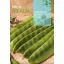 Cukorborsó Tirabeque  Rocalba 50 g