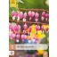 Évelő Dicentra spectabilis (Nagy szívvirág) 1 db JUB