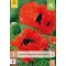 Évelő Papaver orientale Türkenlouis (Pipacs) 1 db JUB