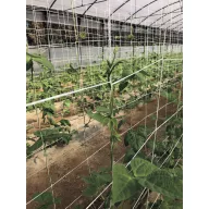   Növénytartó háló lebomló cellulózból Trellinet Compost 2x5 m