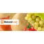 Ridomil Gold R 100g