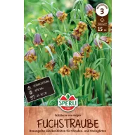   Virághagyma Asszír kockásliliom (Frittillaria uva Vulpis) 15 db JUB