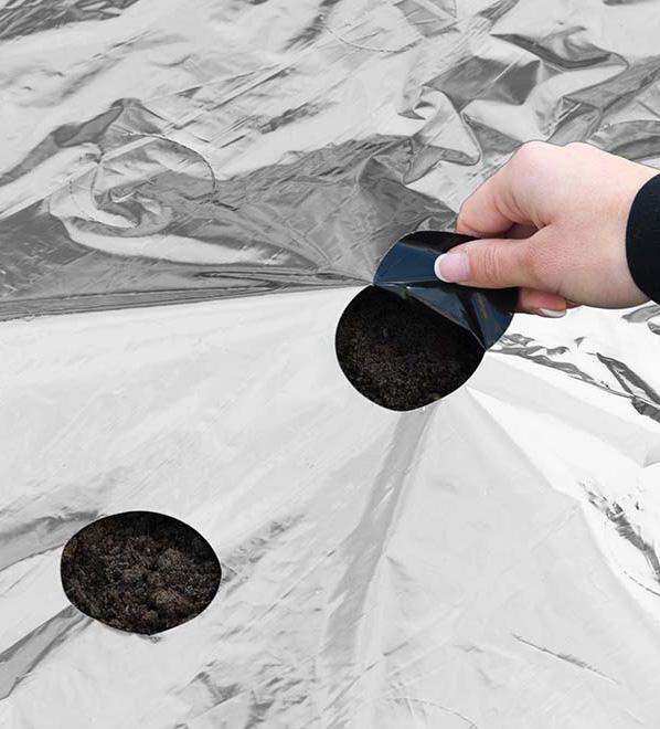 Folie de acoperire negru / argintiu 25 microni cu orificii perforate de plantare 175x60 mm în diametru 0,95x5m