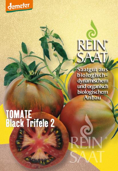 Paradicsom bio Black Triefele Rein Saat kb 30 db mag