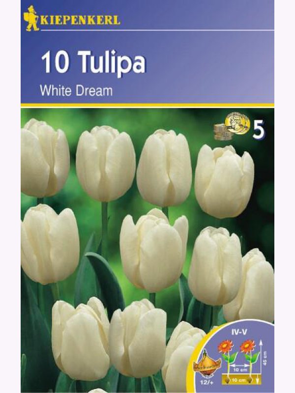 Bulbi de Lalele, Triumf, Kiepenkerl  White Dream 10 buc.