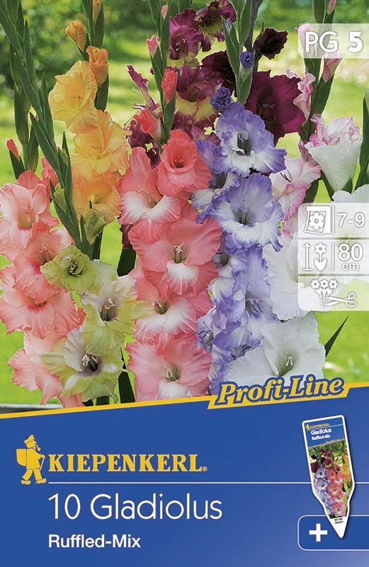 Bulbi de flori Kiepenkerl Gladioe Ruffled Mix 5 buc